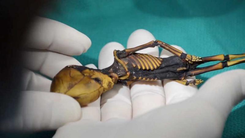 Cercetătorii au ajuns la o concluzie. După 15 ani, s-a aflat adevărul despre "EXTRATERESTRUL" din Atacama. Ce au arătat analizele ADN-ului