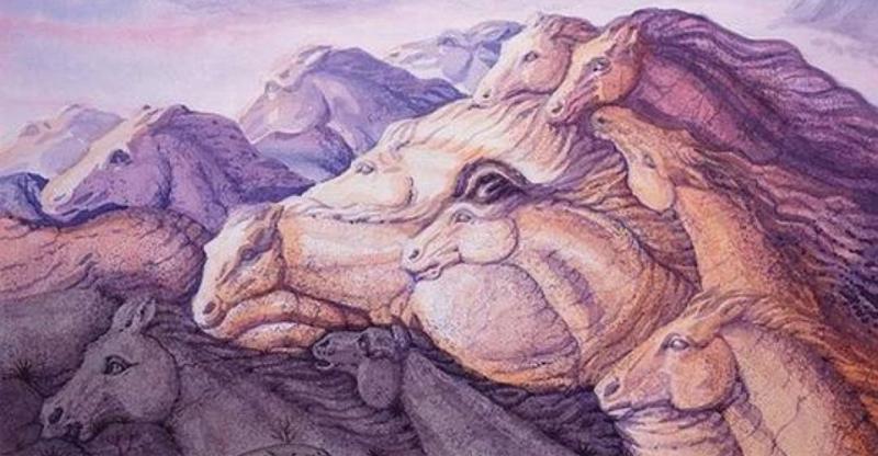 Privește imaginea, numără caii și află totul despre tine! Testul acesta de personalitate îți dezvăluie ce fel de om ești!