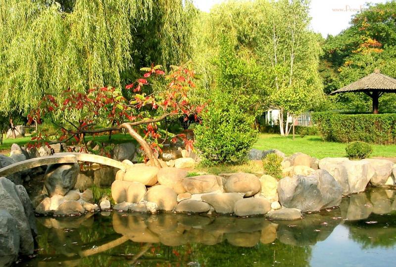 30 martie, Ziua Internațională a plimbării în parc. Unde te plimbi în București