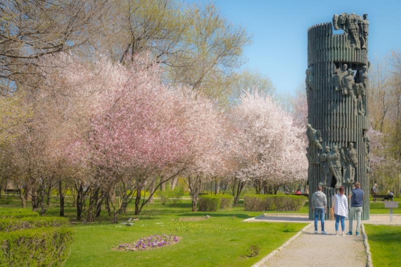 30 martie, Ziua Internațională a plimbării în parc. Unde te plimbi în București