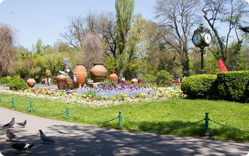 30 martie, Ziua Internațională a plimbării în parc. Unde te plimbi în București
