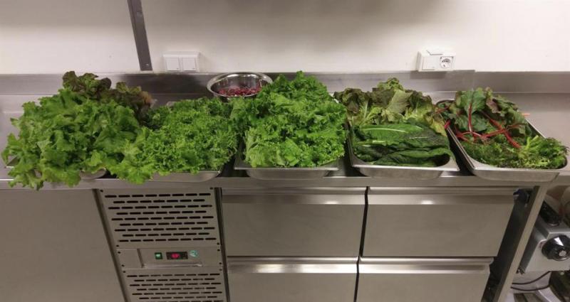 Se schimbă soarta omenirii! Acesta este secretul mult așteptat! Un om de știință a plecat să studieze Antarctica, dar a descoperit ceva colosal