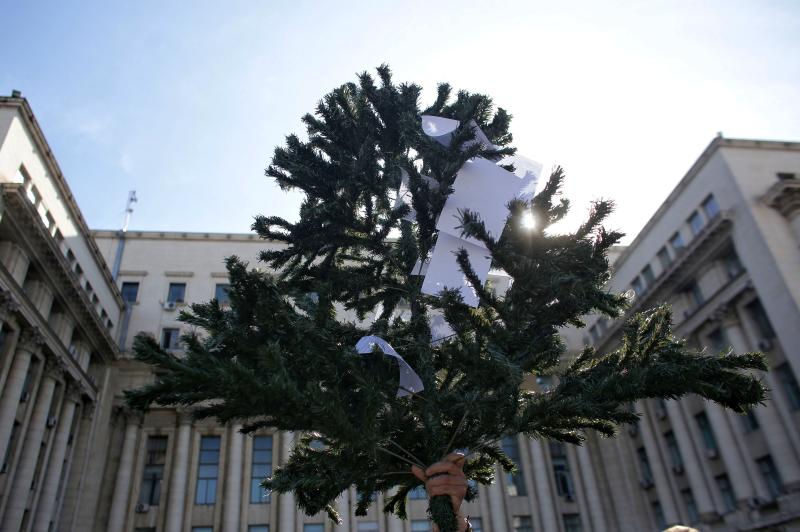De Paște, s-a împodobit bradul, la MAI: "Ministerul confundă sărbătoarea Paştelui cu sărbătoarea Crăciunului"