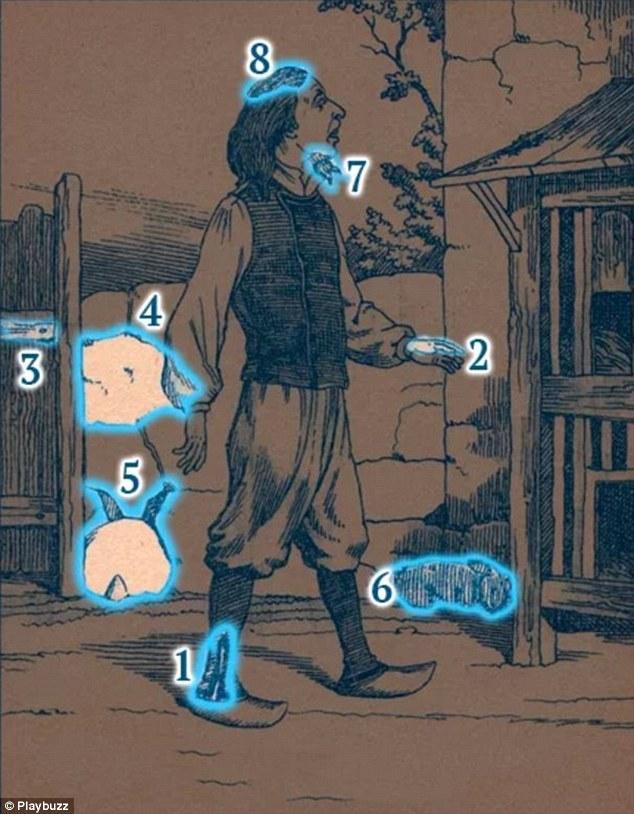 Punem pariu că nu ghicești din prima? Unde stau ”ascunși” cei opt iepuri din fotografia care face senzație pe internet