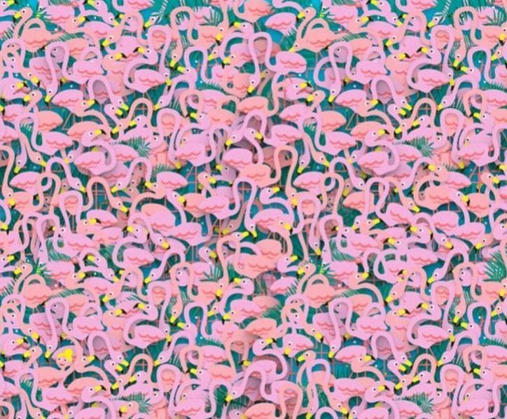 Doar un GENIU poate rezolva toate aceste TESTE în mai puțin de 20 de secunde. Tu poți?