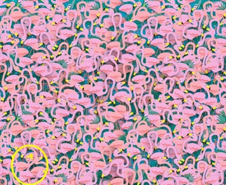 Doar un GENIU poate rezolva toate aceste TESTE în mai puțin de 20 de secunde. Tu poți?