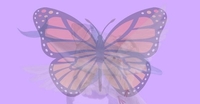 Cel mai tare test optic! Primul animal din cele patru pe care îl vezi îți dezvăluie cine ești, de fapt