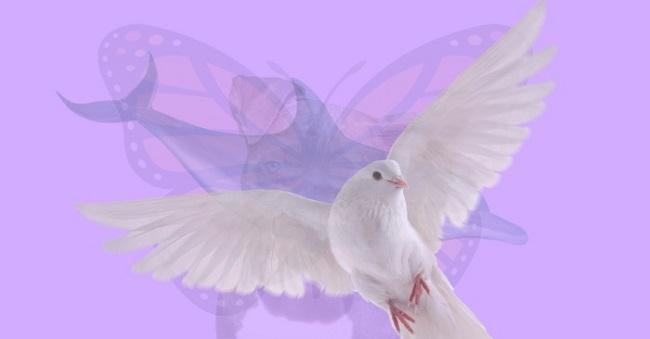 Cel mai tare test optic! Primul animal din cele patru pe care îl vezi îți dezvăluie cine ești, de fapt