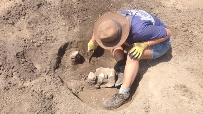 Arheologii egipteni au găsit ceva colosal, la doar câțiva pași de zona turistică! Ce secret a ieșit la iveală