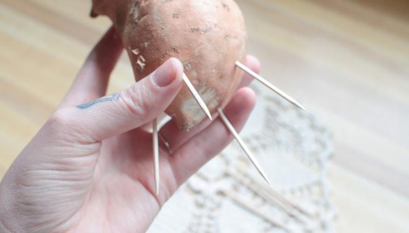 Ce se întâmplă dacă pui un cartof cu scobitori în microunde! Răspunsul te va uimi!