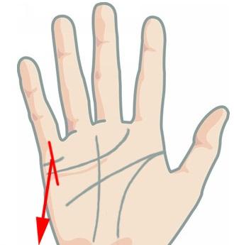 Ce arată linia banilor despre tine! Citește în palmă ce viitor te așteaptă!