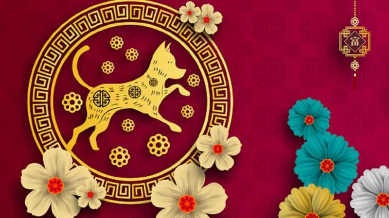 HOROSCOP CHINEZESC pentru săptămâna 30 aprilie - 5 mai! Care este SFATUL astrologilor pentru fiecare zodie în parte: nativii care îşi găsesc IUBIREA ADEVĂRATĂ!