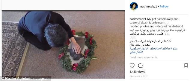 Motivul pentru care femeia de 39 de ani a deschis focul asupra angajaților Youtube, apoi s-a sinucis! Ce a făcut aceasta cu trei luni înainte de atacul armat: ”A murit din cauze necunoscute...”