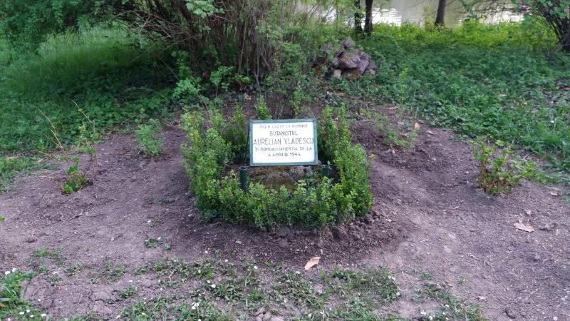 04.04.1944: Americanii bombardează Bucureștiul. 3.000 de morți. 07.05.1944: Englezii lovesc Gara de Nord. 75 de morți. 14.08.1944: Rușii țintesc Capitala. 600 de morți. 24.08.1944: Germanii atacă în picaj!