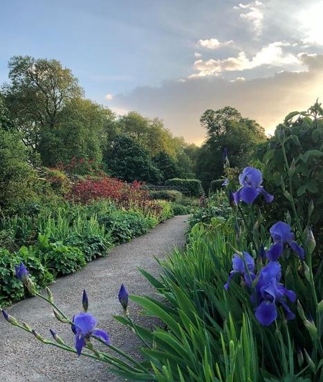 FOTO. Delia a plecat într-o nouă vacanţă. Imaginile care au lăsat fanii juratei de la X Factor mască!