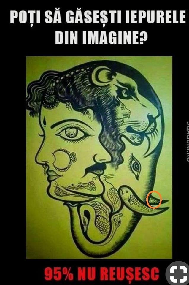 Testul care ISTERIZAT România! Găsește IEPURELE din această imagine! 95 la sută dintre oameni nu reușesc să-l descopere!