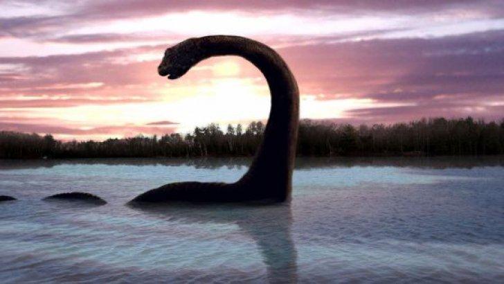 Peste 1.000 de oameni au văzut ciudata creatură marină. Oamenii de ştiinţă, noi DEZVĂLUIRI despre  MONSTRUL din Loch Ness. Este sau nu o minciună? "Nu este absolut nicio îndoială"