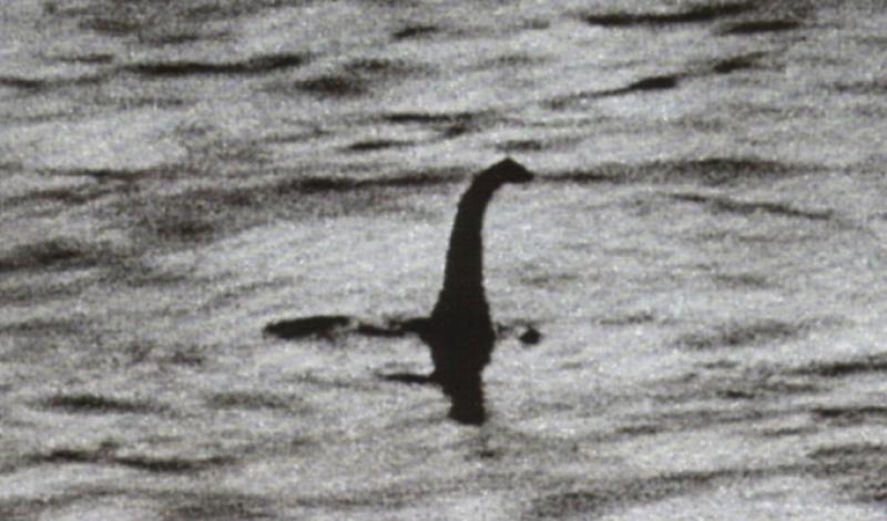 Peste 1.000 de oameni au văzut ciudata creatură marină. Oamenii de ştiinţă, noi DEZVĂLUIRI despre  MONSTRUL din Loch Ness. Este sau nu o minciună? "Nu este absolut nicio îndoială"