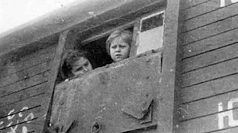 Vaccinul românesc Polidin revine în An Centenar