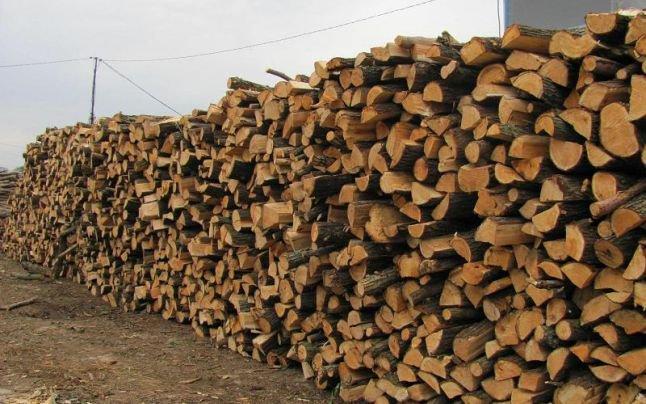Veste proastă pentru mii de români. Prețul lemnelor de foc ar putea crește. E vară acum, e soare, dar și când va veni iarna!