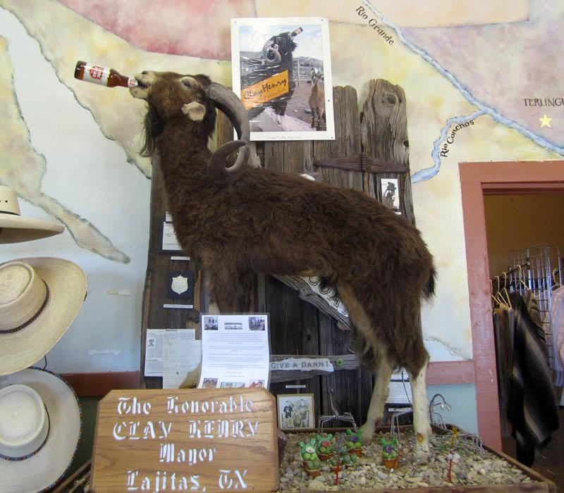 Oamenii dintr-un sat și-au ales ca primar...o capră cu puteri speciale!