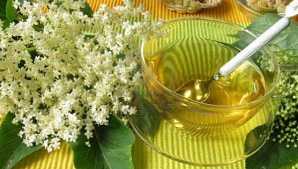 Cea mai bună rețetă de socată! Slăbești 5 KG cu băutura minune a primăverii