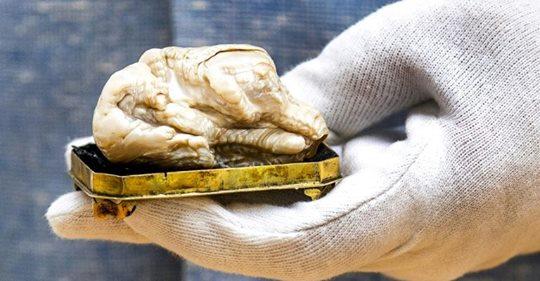 Cea mai mare perlă naturală de apă dulce, care i-a aparținut împărătesei Ecaterina a II-a a Rusiei, vândută la licitație. Pentru ce sumă COLOSALĂ a fost adjudecată. FOTO