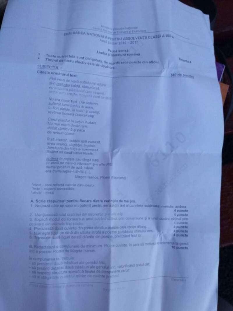 Subiecte la Evaluarea Națională, la proba de Limba și literatura română! Ce le-a picat elevilor în 2018 comparativ cu anul trecut!