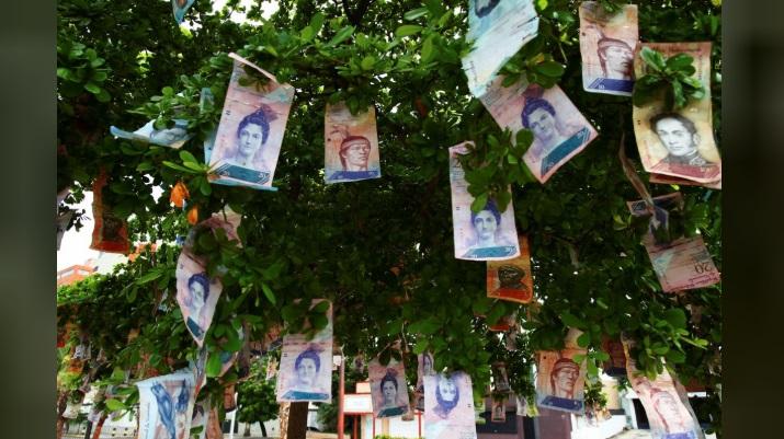 Țara în care banii stau în copaci, la propriu! Orice trecător îi poate lua