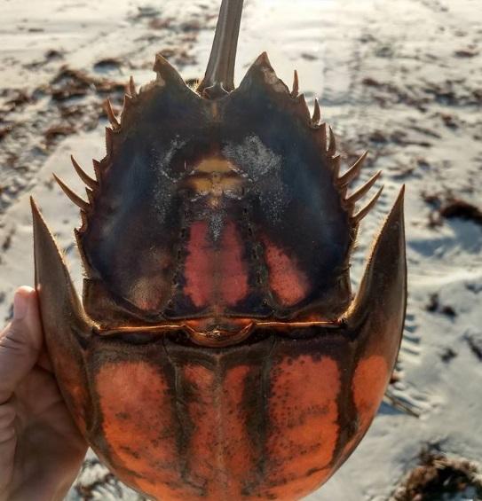 Minune dumnezeiască! O tânără a primit un semn divin la care nimeni nu s-ar fi așteptat!