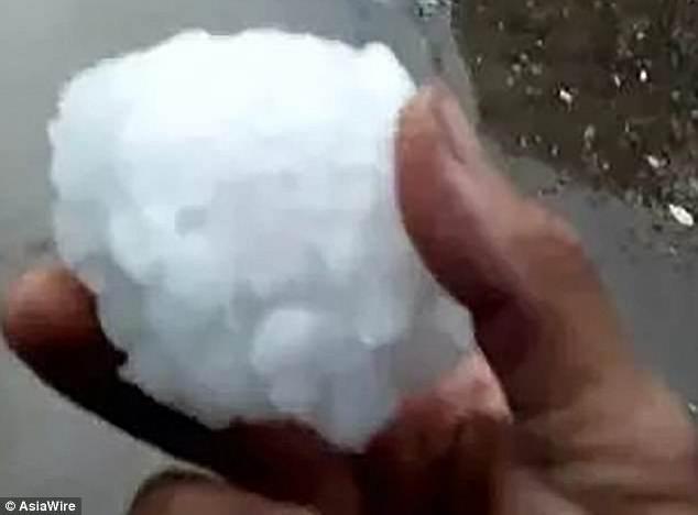 VIDEO VIRAL. Ploaia care a adus din cer animale... marine! Oamenii, şocaţi de imaginile apocaliptice