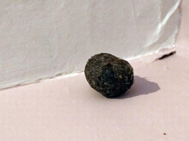 Mamă șocată după ce a descoperit un obiect BIZAR în dormitorul copiilor! „Ajutor!”