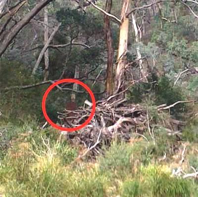 În vizită la “Groapa Sinucigaşilor”, un loc bântuit și blestemat, un turist a fotografiat o fantomă. Galerie Foto!