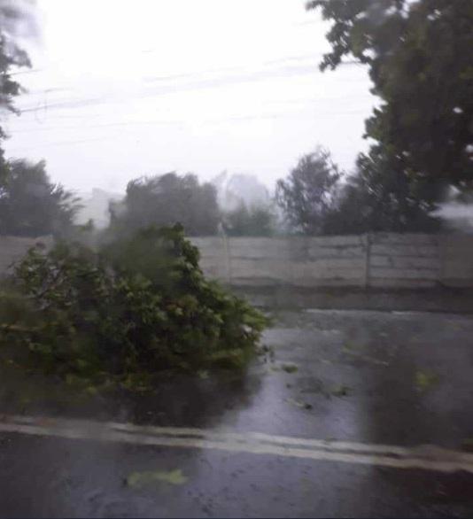 FOTO: PLOILE torenţiale au făcut prăpăd la MARE! Staţiunea Mamaia, cea mai afectată