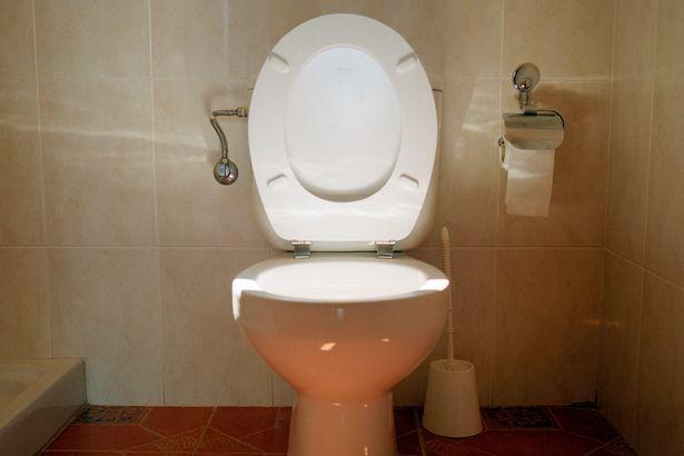 Ce se întâmplă dacă tragi apa ÎNAINTE să închizi capacul de la toaletă! Efectele îți dau FIORI!