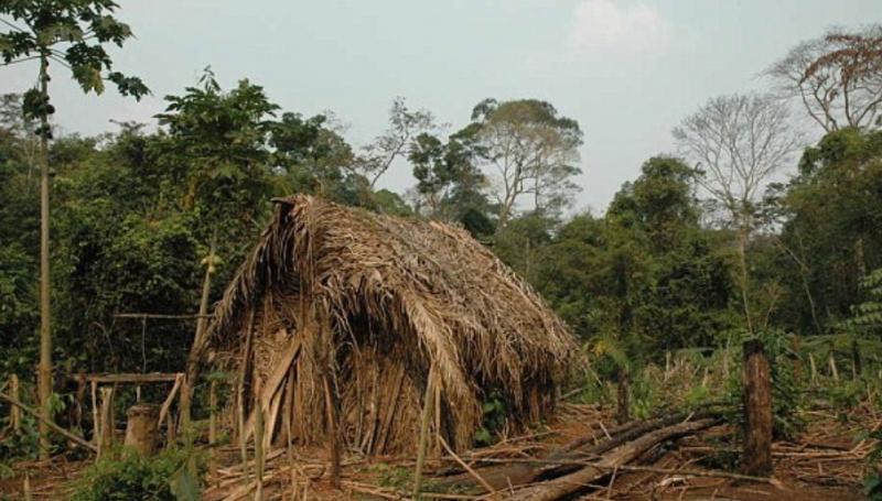Uimitor și TRAGIC! A trăit singur în jungă timp de 22 de ani, după ce toți cei dragi i-au fost MĂCELĂRIȚI. Cum a supraviețuit în tot acest timp - VIDEO