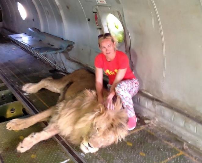 Incident HALUCINANT! O femeie a pozat cu un leu, în cușca animalului. Ce a urmat este desprins din filme HORROR - FOTO