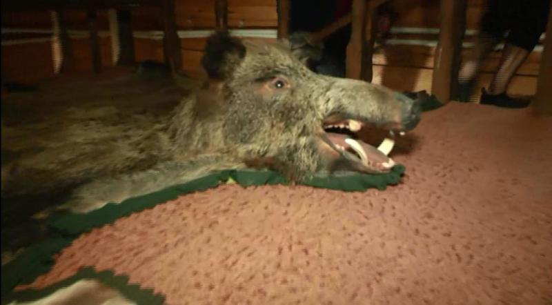 Pepe, de-a dreptul îngrozit la ”Poftiți la Nea Mărin”: ”Nu mi-a spus nimeni așa ceva până la vârsta asta”