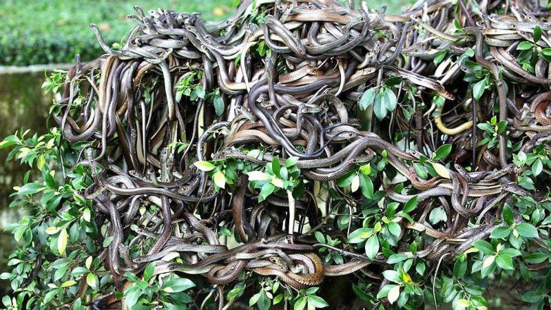 3 locuri în care să NU te duci în vacanță! Sunt printre cele mai periculoase din lume