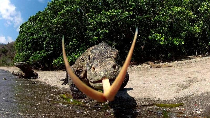 3 locuri în care să NU te duci în vacanță! Sunt printre cele mai periculoase din lume