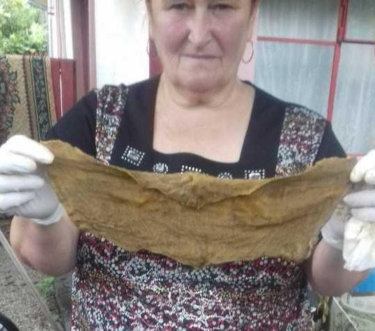 SCANDAL URIAȘ la Spitalul Judeţean de Urgenţă Buzău! Doi medici, acuzați de MALPRAXIS. Ce a descoperit un pacient că avea în corp. FOTO