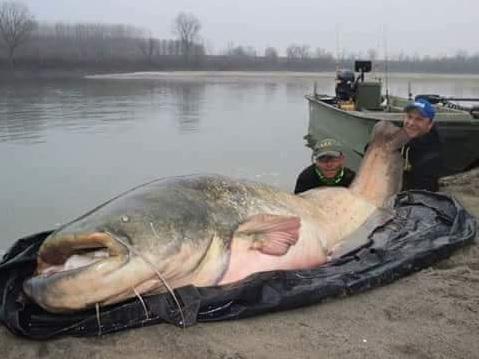 Mii de români au fost PĂCĂLIȚI pe Facebook în aceste zile! Cum s-a întâmplat