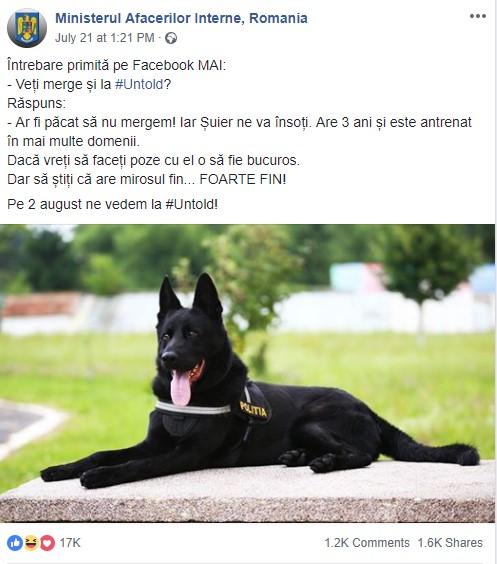 „Veți merge la Untold?” Răspunsul Poliției Române a devenit VIRAL, strângând zeci de mii de like-uri!