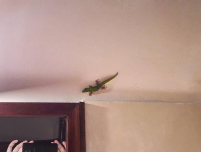 Octavian Strunilă, dezvăluiri inedite din Madagascar! „Dau cearșaful la o parte și găsesc...”