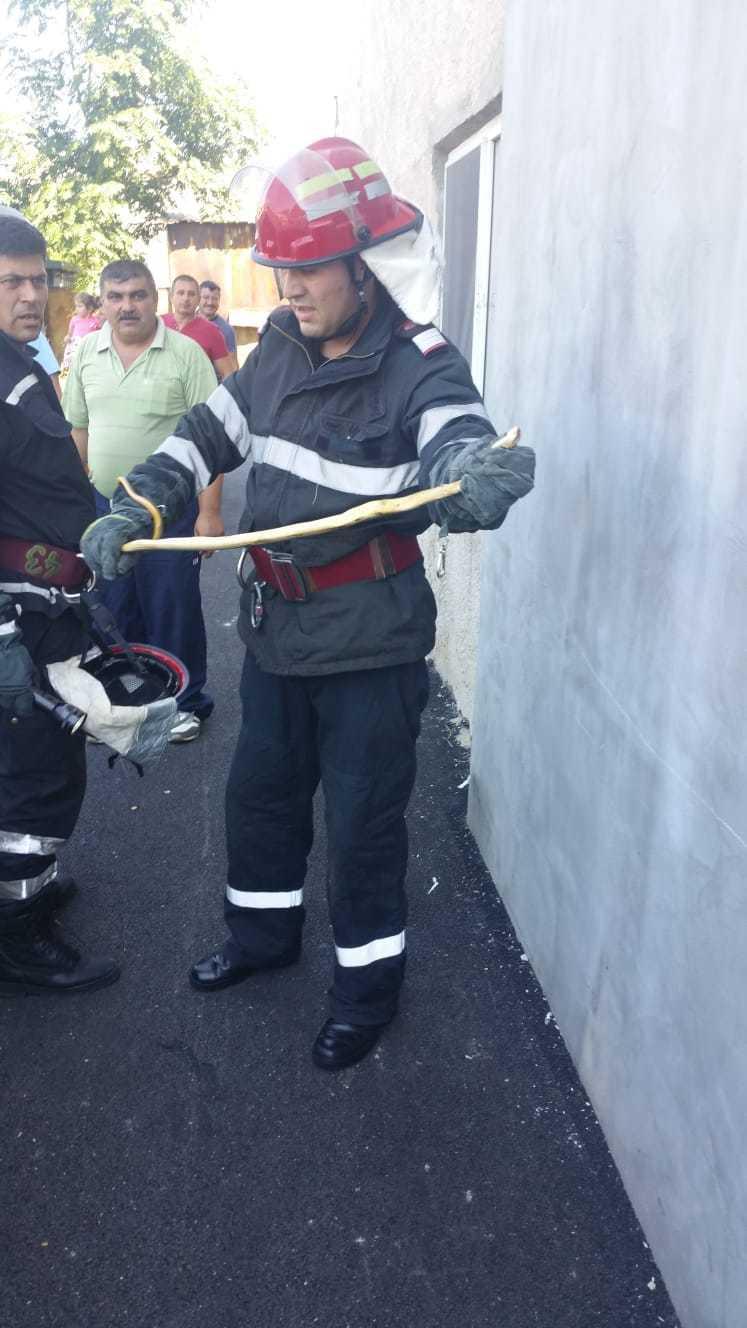 A avut ȘOCUL vieții lui! Descoperirea ÎNGROZITOARE pe care a făcut-o un român în compartimentul motor al mașinii sale - FOTO