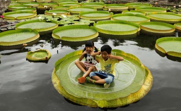 Gestul DISPERAT şi sfâşietor care face înconjurul lumii! Părinţii au decis să îşi vândă fetiţa pentru a plăti tratamentul frăţiorului ei bolnav de leucemie: "Nu aveam altă soluţie"