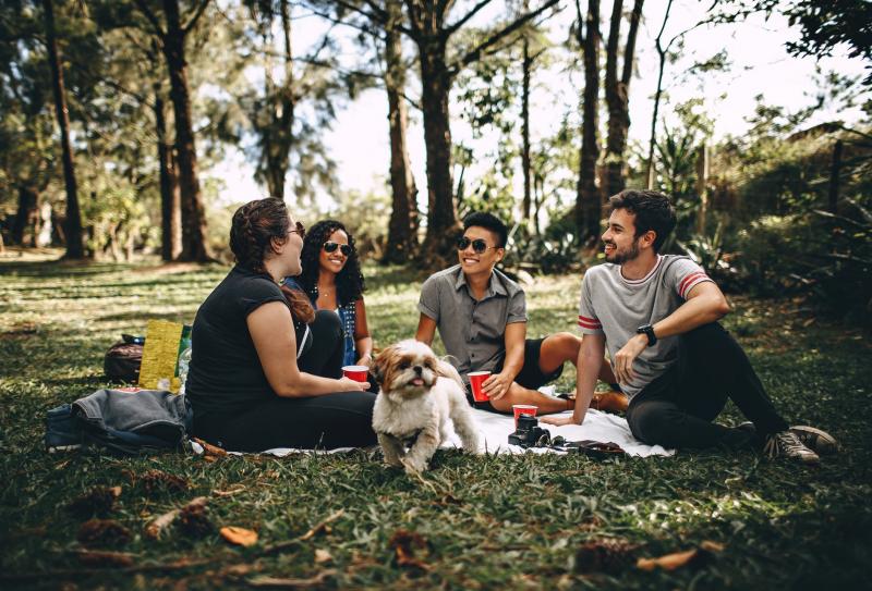 Evenimente București Herăstrău în luna august 2018. Ghidul evenimentelor din parcul Herăstrău