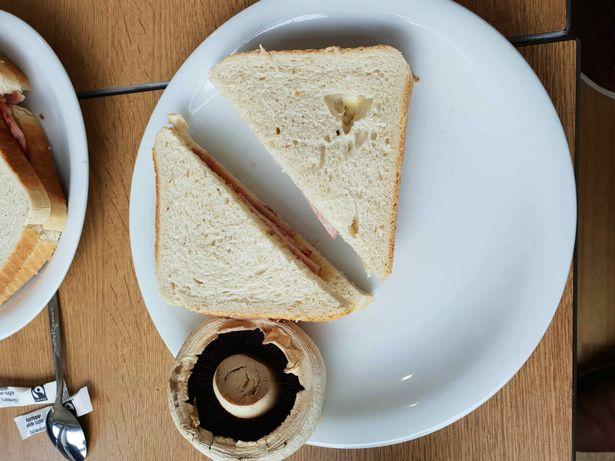 Tânărul și-a comandat un sandviș, dar a fost șocat când a primit farfuria! Ce s-a întâmplat