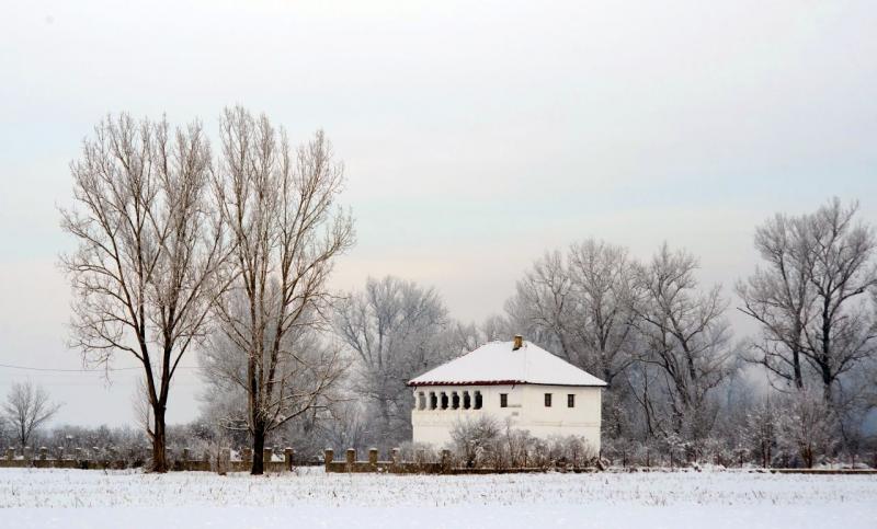 Ultima execuție publică din București. I-au prins în ștreang pe Ghiță și pe Simion, pe Calea Moșilor. Pe trei dintre tovarăși i-au plimbat în ”pieile goale și i-au bătut”