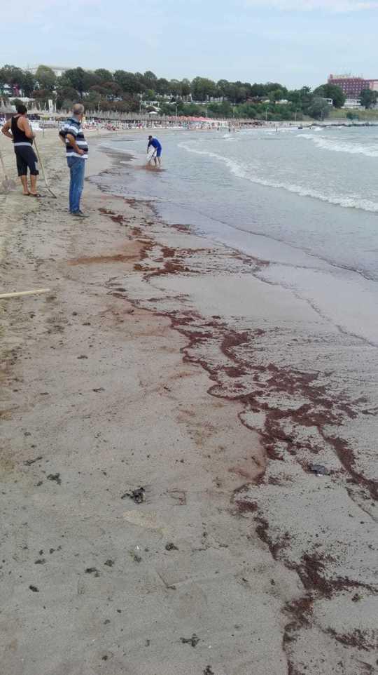 Pericol pe litoral! S-au scos 12 TONE de material TOXIC din nisipul de pe o plajă din Mangalia. Zona a fost închisă!